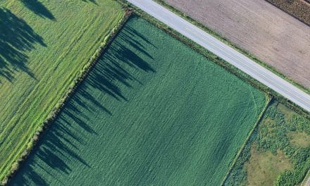 Wormser Grüne lehnen Gewerbegebiet am Hohen Stein weiter ab