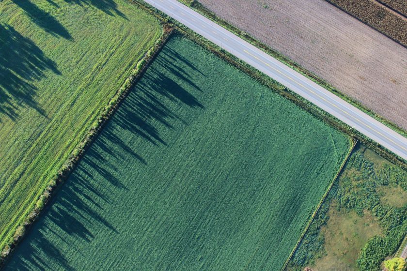 Wormser Grüne lehnen Gewerbegebiet am Hohen Stein weiter ab
