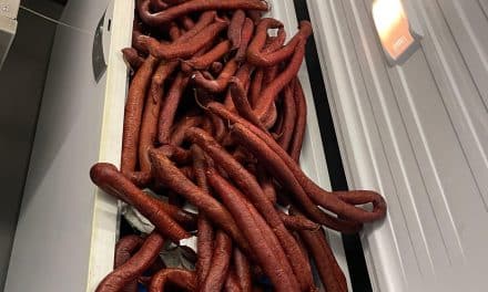 Zoll stellt über 250 Kilo Schmuggelware bei Buskontrolle sicher