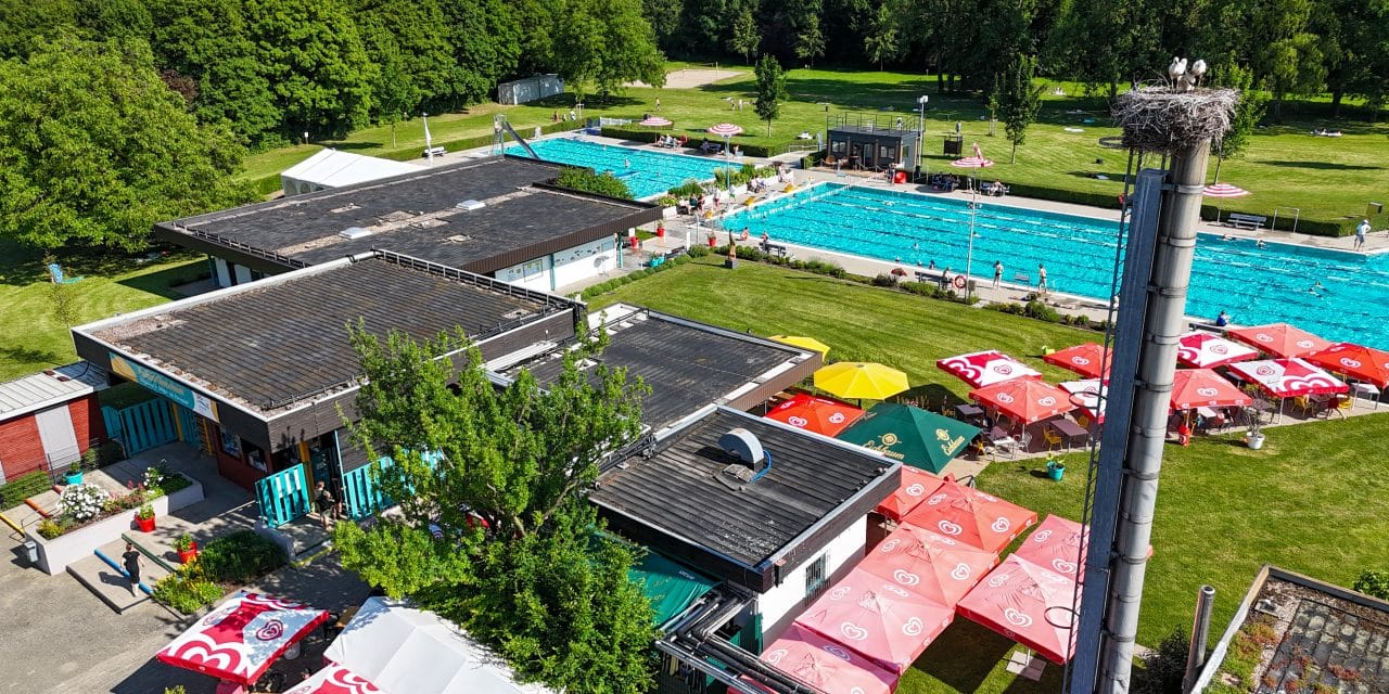 Schwimmen für den guten Zweck: Gimbsheimer Freibad sammelt 20.000 Euro für Beckensanierung