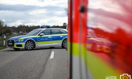 A61 bei Gau-Bickelheim: Autofahrerin stirbt nach Unfall auf der Autobahn