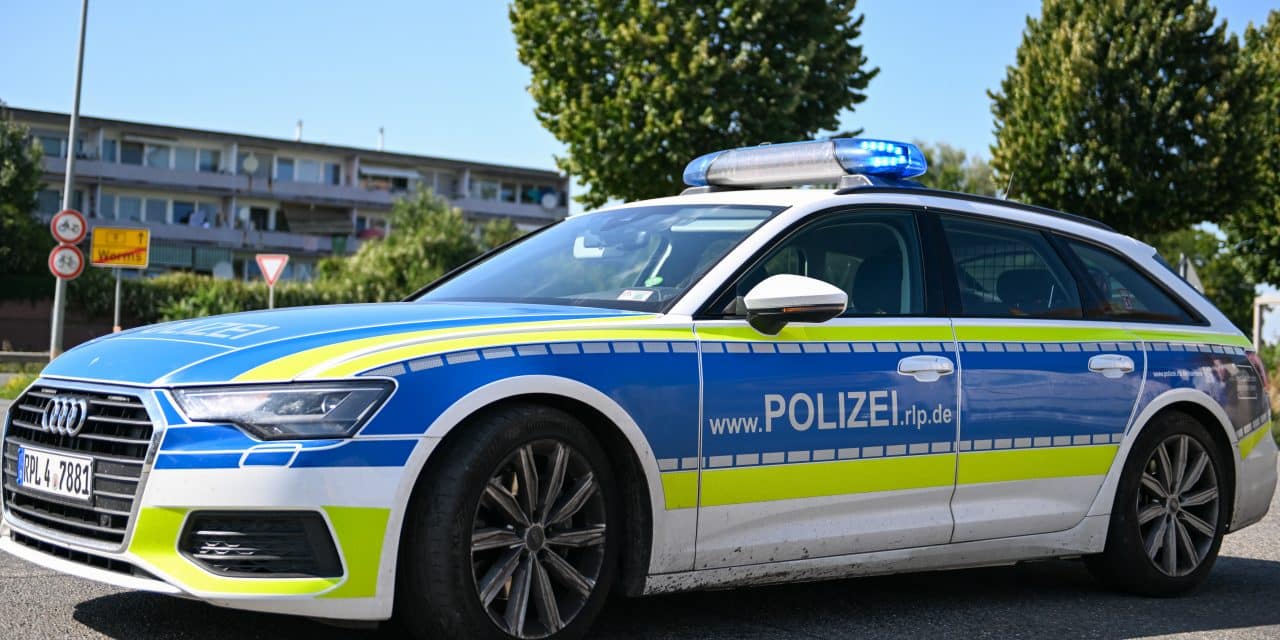 Flucht vor Polizeikontrolle endet mit Unfall und Festnahme in Worms