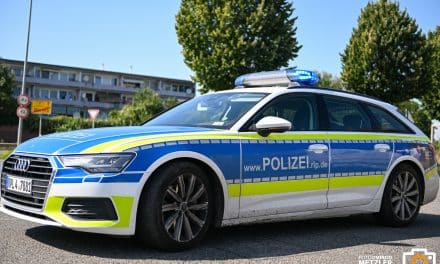 Flucht vor Polizeikontrolle endet mit Unfall und Festnahme in Worms