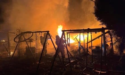 Brand in Kleingartenanlage: Mehrere Objekte in Vollbrand – Aufwendiger Feuerwehreinsatz in Pfiffligheim