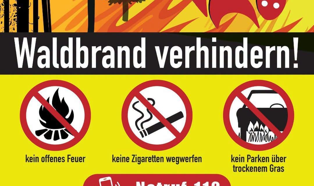 Waldbrandgefahr in Rheinhessen: Jeder Funke kann zur Katastrophe werden