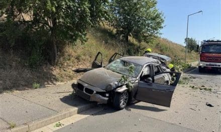 Unfall und Großbrand halten Feuerwehr Worms innerhalb weniger Stunden auf Trab