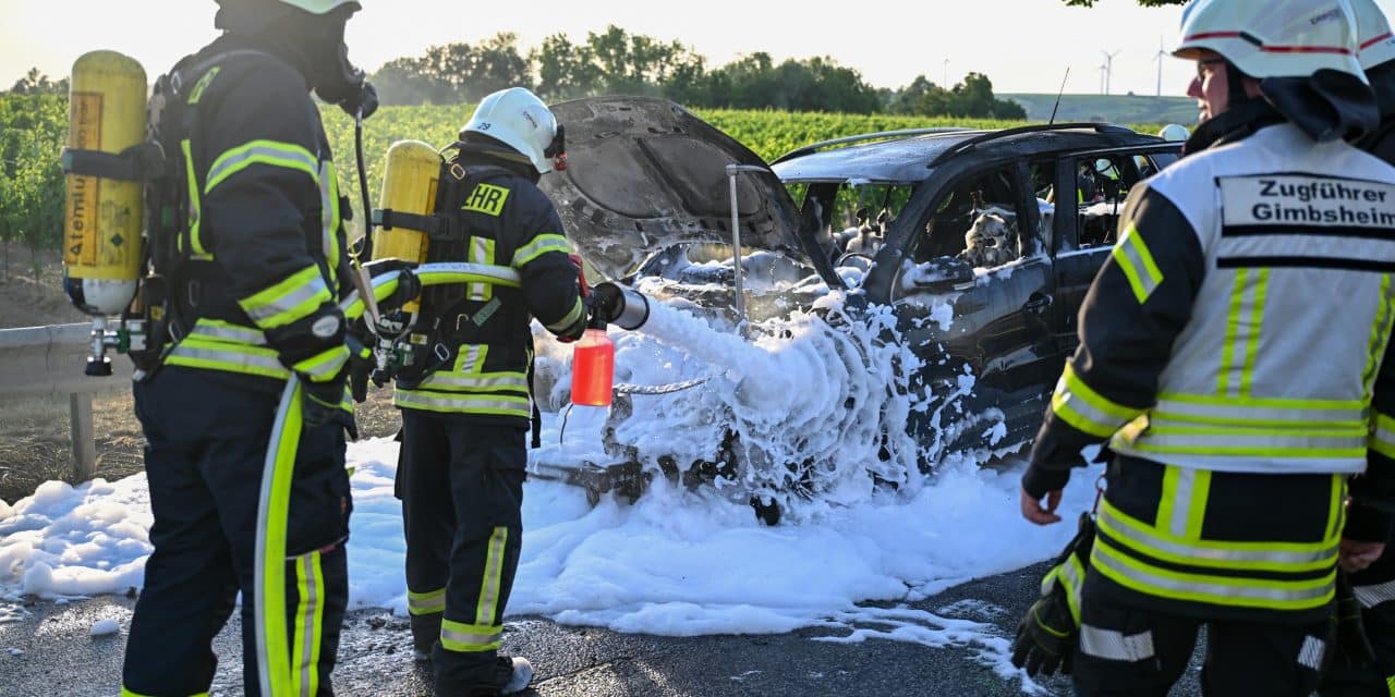 Fahrzeugbrand auf der B9: Auto zwischen Alsheim und Mettenheim komplett ausgebrannt