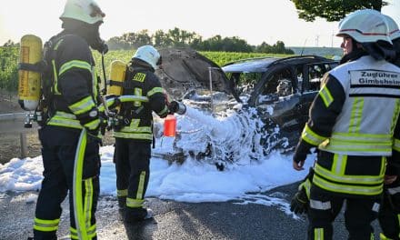 Fahrzeugbrand auf der B9: Auto zwischen Alsheim und Mettenheim komplett ausgebrannt