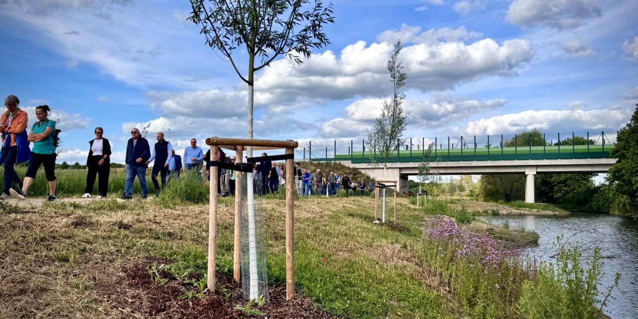 Selz-Renaturierung im IG Ost: Bürger erleben neue Grünflächen in Alzey aus nächster Nähe
