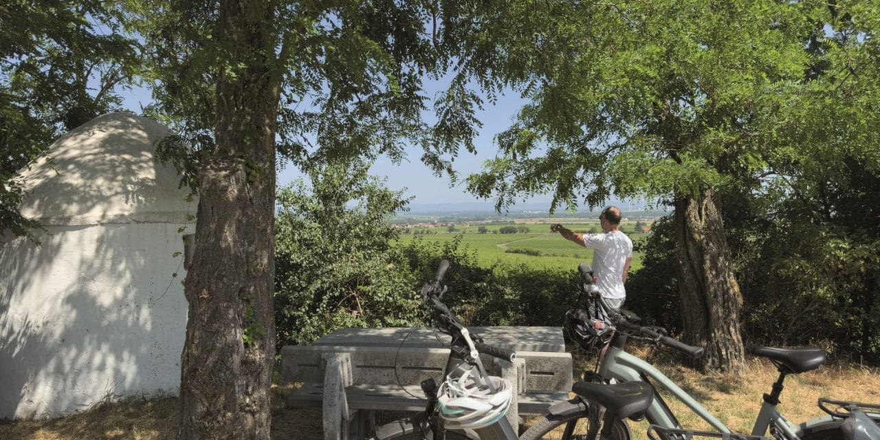 Zwischen Trulli und Reben: Rad- und Genusserlebnis im südlichen Rheinhessen