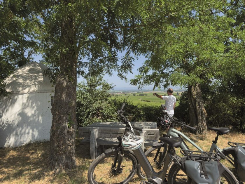 Zwischen Trulli und Reben: Rad- und Genusserlebnis im südlichen Rheinhessen