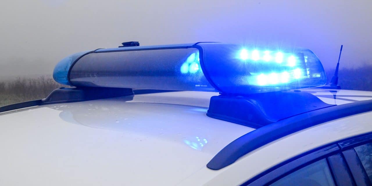 Polizei warnt vor Auto-Dieben im Altrhein