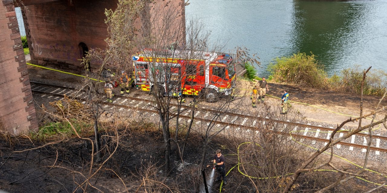 Feuerwehr im Dauereinsatz am Dienstag: Drei Vegetationsbrände fordern Einsatzkräfte in und um Worms