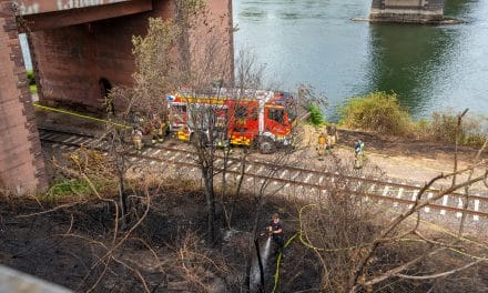Feuerwehr im Dauereinsatz am Dienstag: Drei Vegetationsbrände fordern Einsatzkräfte in und um Worms