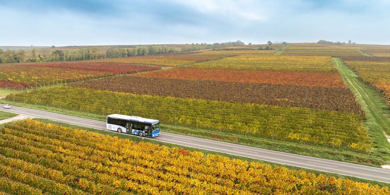 Fahrgastboom im Raum Alzey: Buslinien verzeichnen deutliche Zuwächse