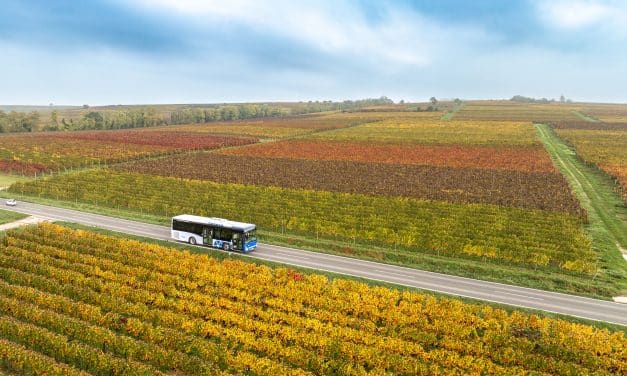 Fahrgastboom im Raum Alzey: Buslinien verzeichnen deutliche Zuwächse
