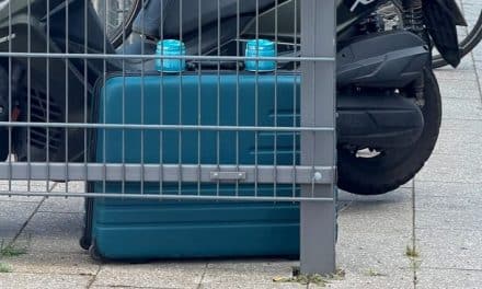 Verdächtiger Koffer sorgt für Großeinsatz am Bahnhof Landau