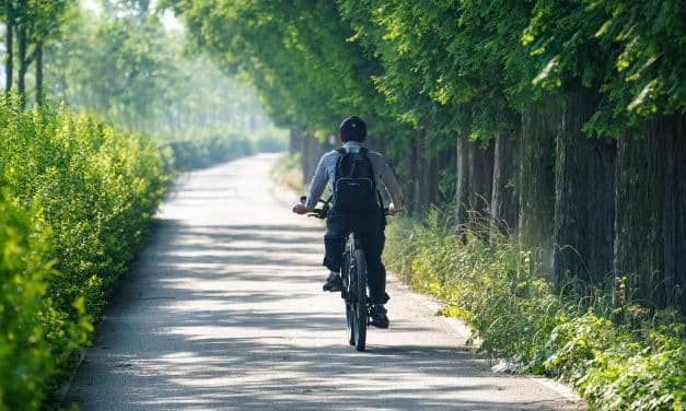 Neuer Radweg entlang der B271 nimmt erste Planungshürden